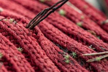 Bir ipe yakın çekim