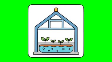 Çağdaş tarım grafikleri için ekosistem dostu sera ile hidrofonik fideleri canlandırılmış boyut değişimi