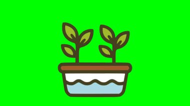 Karikatür vektörü hidroponik tarım besin çözeltisi kabına yerleştirilmiş iki yaprak filizi gösteriyor, sağlıklı bitki büyüme sembolü.