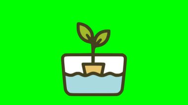 Karikatür vektörü hidrofonik bitki tasarımı sürdürülebilir tarım için besin çözeltisiyle dolu kabın içinde filizlenen tohumları gösteriyor.