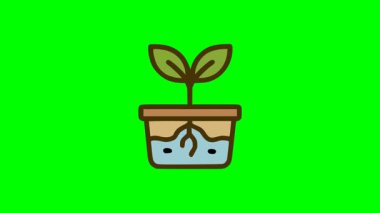 Toprakta kökleri olan küçük saksı bitkisi ve eko bahçıvanlığı organik tarım ve bitki büyümesi için su vektörü grafiği