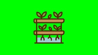 Yığılmış ekiciler ve organik bahçe işleri için su kökleri düz stil grafikleriyle hidrofonik sebze yetiştirme kurulumu