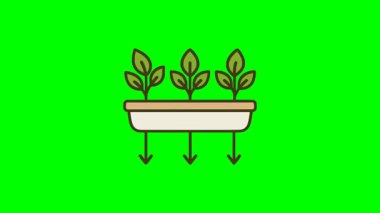 Hidrofonik kutuda üç filiz, parlak arka planda yeşil bitkiler ve oklarla modern tarım tasarımı.