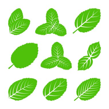 Naneli Yapraklar izole edilmiş, soyut yeşil yapraklar set simgeleri, beyaz arkaplanda yeşil nane yaprakları Vektörü