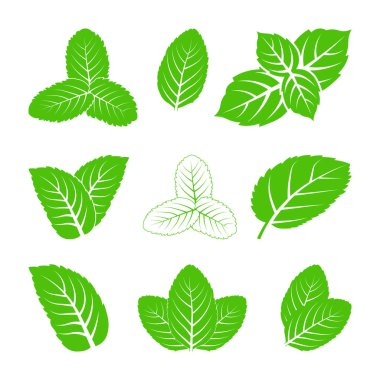 Naneli Yapraklar izole edilmiş, soyut yeşil yapraklar set simgeleri, beyaz arkaplanda yeşil nane yaprakları Vektörü