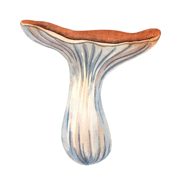 Watercolor chanterelle mushroom illustration, perfect for forest designs, cards, patterns, posters, and kitchen decor.