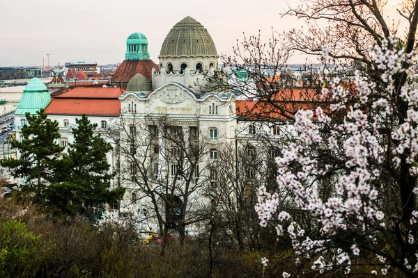 Budapeşte/Macaristan 19. Mart 2019 fotoğraf eski binalar/şehir manzaraları