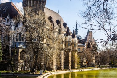 Budapeşte / Macaristan 19. Mart 2019 üzerinde fotoğraf Vajdahunyad castle 