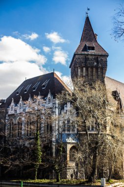 Budapeşte / Macaristan 19. Mart 2019 üzerinde fotoğraf Vajdahunyad castle 