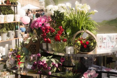 Kiev / Ukrayna / 19 Haziran 2018 çiçek sergisi