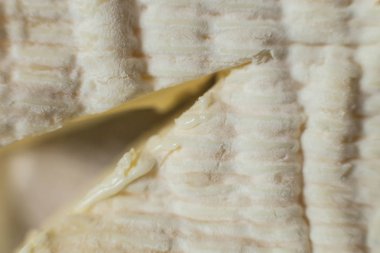 Küçük brie peynir kafa fotoğrafı