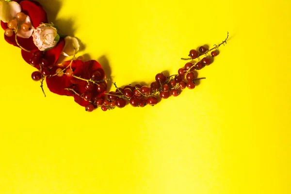 Ягоды Смородины Желтом Фоне — стоковое фото