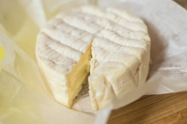 Photo Little Brie Cheese Head — Stock Photo, Image