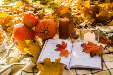 Parkta Sonbahar natürmort