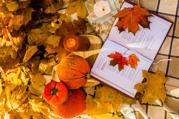 Осенний Натюрморт — стоковое фото