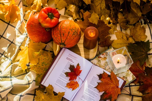 Herbst Stillleben Park — Stockfoto