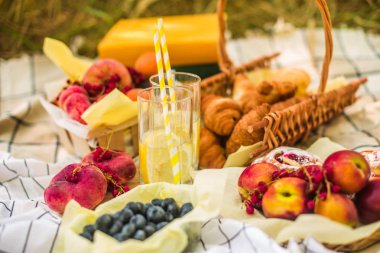 Masa örtüsü üzerinde parkta piknik