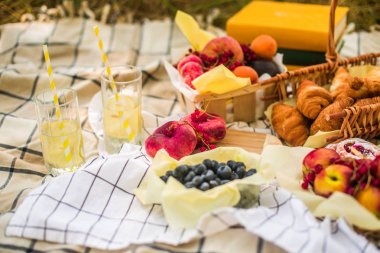 Masa örtüsü üzerinde parkta piknik