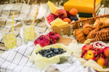 Masa örtüsü üzerinde parkta piknik