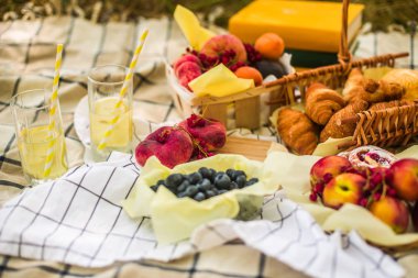 Masa örtüsü üzerinde parkta piknik