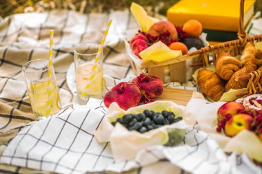Masa örtüsü üzerinde parkta piknik
