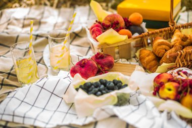 Masa örtüsü üzerinde parkta piknik