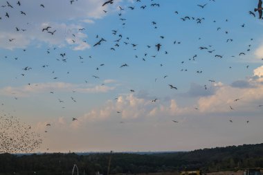 Kiev / Ukrayna 15.Eylül 2019 Fotoğraf Çöp depolama numarası 5