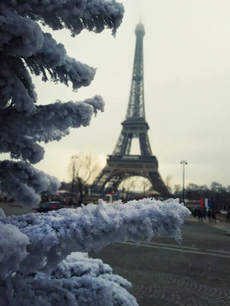 Snötäckta Fir Grenar Christmas Tree Nära Håll Framför Eiffeltornet Paris — Stockfoto