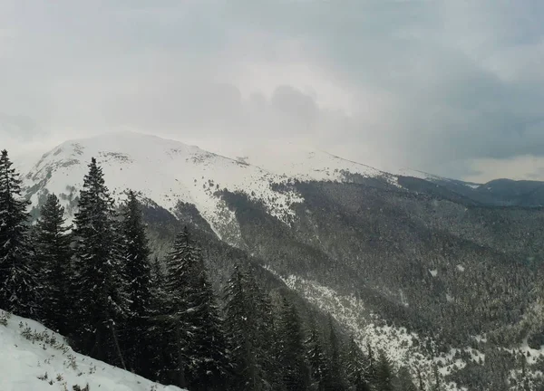 Paysage Hivernal Des Montagnes Pirin Station Ski Bansko Bulgarie — Photo