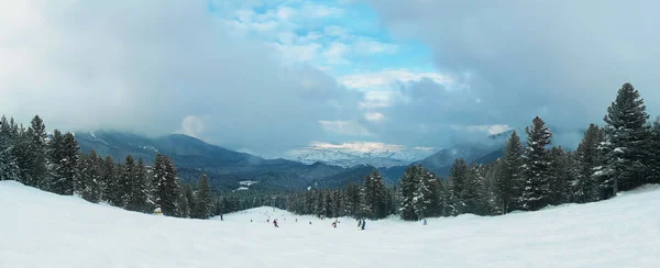 Panorama Del Bosque Abeto Con Árboles Altos Cubiertos Nieve Que —  Fotos de Stock