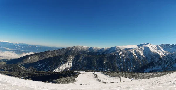 Panoramisch Uitzicht Het Resort Bansko Met Skipiste Het Bos Sneeuwbomen — Stockfoto