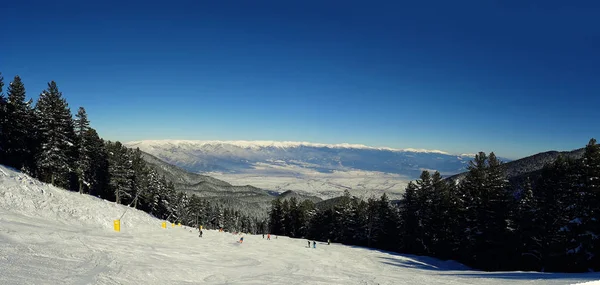 Bansko Resort Panoramic View Ski Slope Forest Snow Trees Bulgaria — Stock Photo, Image