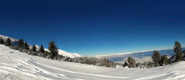 Snow mountains landscape panorama in bulgarian ski resort Bansko, clear blue sky and fir forest.