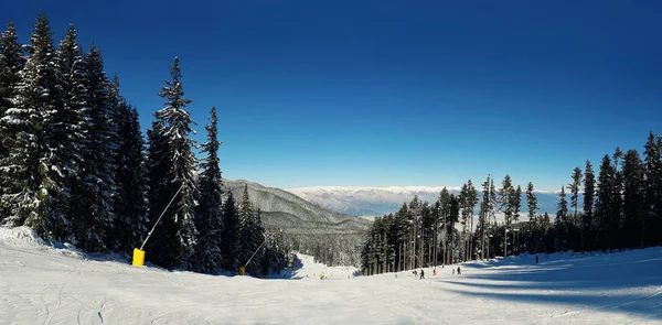 Πανόραμα Των Χιονισμένα Βουνά Κατά Χειμερινή Περίοδο Μια Σαφή Ημέρα — Φωτογραφία Αρχείου