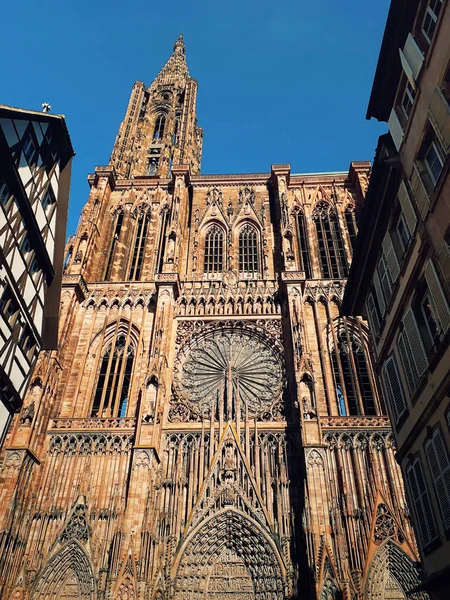 Notre Dame de Strasbourg i Alsace, Frankrike — Stockfoto