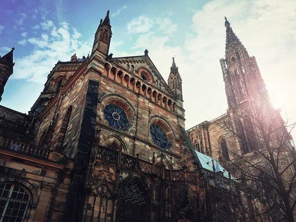 Side view of Roman Catholic Cathedral Notre Dame of Strasbourg i — Stock Photo, Image