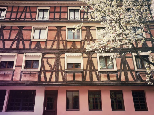 Πολύχρωμο ξύλινο κτίριο και ένα ανθισμένο δέντρο στο Στρασβούργο — Φωτογραφία Αρχείου