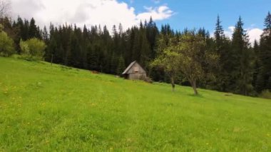 Dağlarda ahşap yazlık, yeşil çim ve çiçekli çayır ile güneşli bahar günü. 