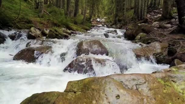 大景观景观如河流流过山山野生自然 普鲁特河在喀尔巴鄂山脉 霍韦拉峰 快速流水与瀑布通过岩石 — 图库视频影像