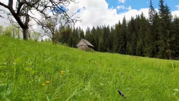Casa Campo Madera Las Montañas Soleado Día Primavera Con Hierba — Vídeo de stock