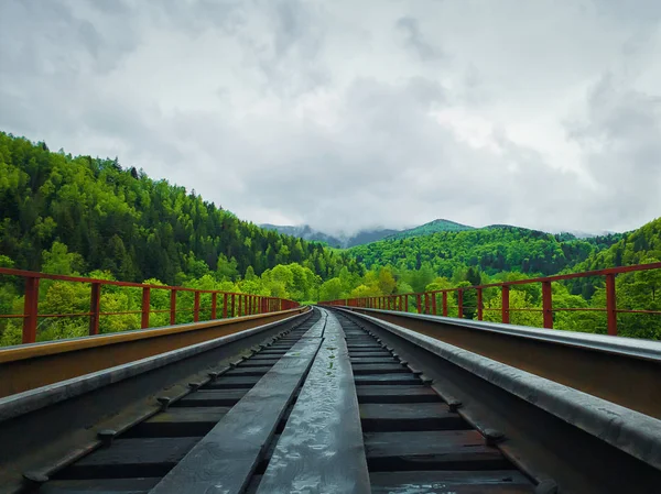 Vecchio ponte ferroviario che perfora la foresta primaverile attraverso il monte — Foto Stock