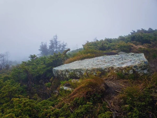 Płaski kawałek skały o dużych wymiarach, jak widać na wzgórzu górskich — Zdjęcie stockowe