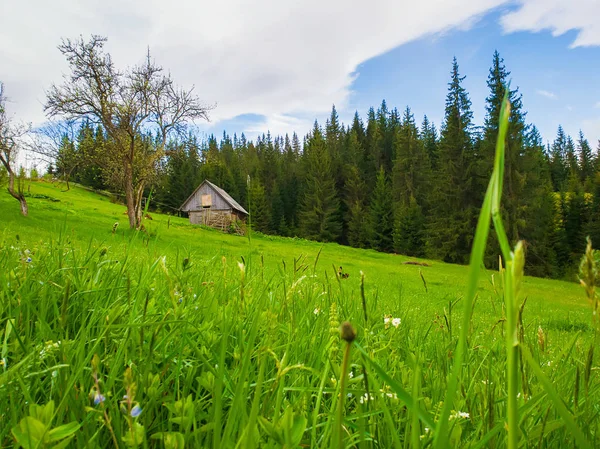 Casa de madera en las montañas, soleado día de primavera — Foto de Stock