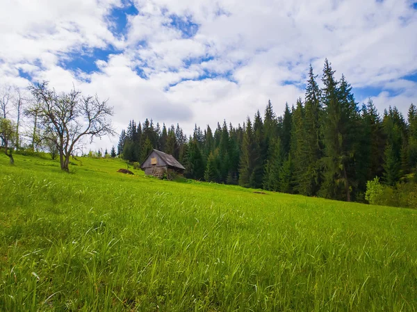 Casa de campo de madera en las montañas, soleado día de primavera con gra verde — Foto de Stock