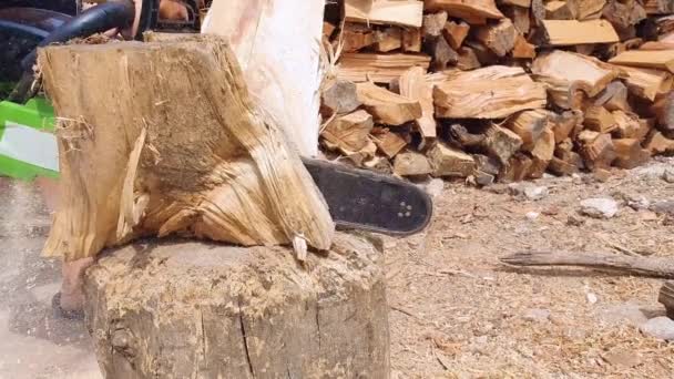 Close Van Houthakker Logger Handen Snijden Hout Voor Logs Met — Stockvideo