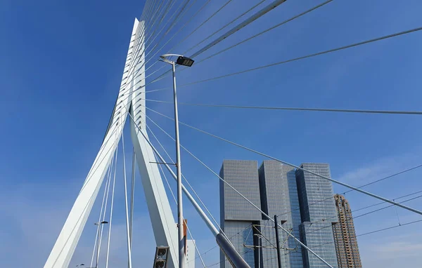 Erasmus brug (de zwaan) over de Maas in Rotterdam, het net — Stockfoto