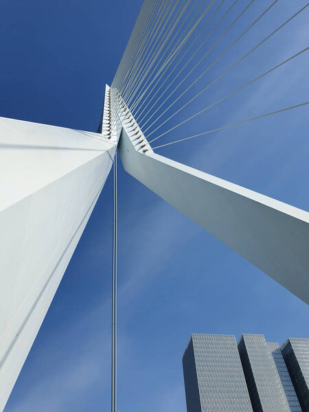 Erasmus bridge over Meuse river in Rotterdam, the Netherlands. A