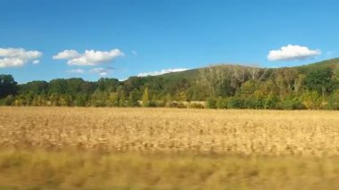 Ufukta tepeler ve ağaçların olduğu farklı bir ekin tarlasının yanında, yoldaki araç camından görüldüğü gibi kırsal manzarayı hareket ettiriyor. Güneşli bir günde, mavi gökyüzü ile güzel bir sonbahar manzarası..