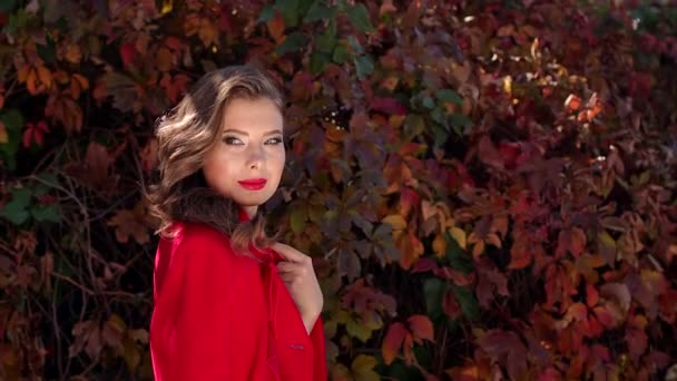 Portrait of a gorgeous girl in a dress and a red coat and in an autumn Park. — Stock Footage Portrait of a gorgeous girl in a dress and a red coat and in an autumn Park. Stock Video