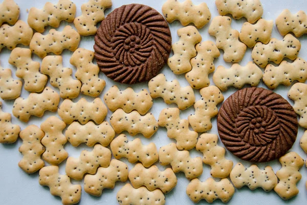 Biscuit Biscuit Biscuits Sur Fond Isolé — Photo